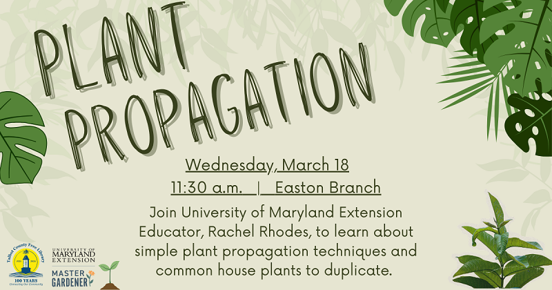 Plant Propagation
