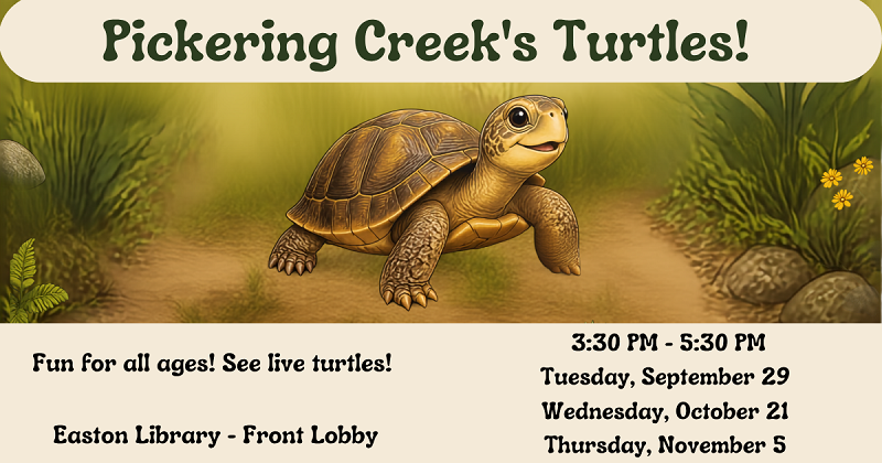 Pickering Creek's Turtles! September 29.