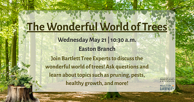 The Wonderful World of Trees. May 21